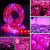 5 m LED Phyto Lamps Spectrum LED Tira Luz 300 LEDs 5050 Chip LED Fitolampy Crescer luzes para estufa planta hidropônica