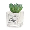 Kunstmatige succulente plantenblad Desktop decoratie draagbare stenen glazen fles