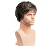 Syntetiska peruker Mens Side Fringe Wig Handsome Men Kort Straight Brown Värmebeständig Cosplay Party Hair FZP211