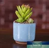 Pot de plantes de jardin succulentes, Mini bureau à pouce, pots de fleurs en céramique de haute qualité