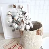 21 pouces tiges de coton naturellement séchées fleur artificielle ferme style décor à la maison bouquet vase fête de vacances littéraire simple H011249w