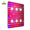 3000W LED Grow Lights Lampada a spettro completo crescente COB con ventola di raffreddamento per piante da interno Bloom Veg