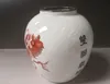 Pot de jarre en glaçure peinte en porcelaine ancienne chinoise
