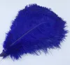 Wholesale 14-16inch 35-40cmのダチョウの羽毛のためのウェディングセンターピースのテーブルの中心的な羽毛の白黒赤いピンクブルー