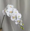 10 st/lot Naturtrogna konstgjorda fjäril Orkidéblomma Siden Phalaenopsis Bröllopshem Gör-det-själv-dekoration Falska blommor gratis frakt