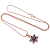 IJD8442 Star nierdzewna Kremacja Kremacyjna Naszyjnik Ashlace Ashes Styvenir Urna Bracket Memorial Jewelry do zwierząt domowych 6439202