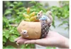 Creative Cartoon Vases Cute Small Animal Squirrel Fleshy Flower Pot Individual Garden Resin Micro-landscape Pots Planting