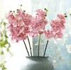 Impressão em computador 3D artificial Borboleta orquídea uma peça sete flores e três frutas flores artificiais decorações de casamento