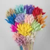 30Pcs/lot Rabbit Tail Grass flower Gradient Lagurus Ovatus Natural Dried Flowers Bouquet Wedding Home Easter Decorations