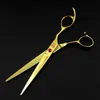 poetry kerry High-grade 7.0 inch 62HRC hardness 6CR golden electroplate stainless steel 3 hair scissors kit with comb