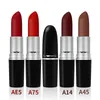 26 Colors MYG Matte Waterproof Velvet Lipstick Sexy Red Brown Pigments Makeup Pumpkin WaterResistant Profissional Lipsticks Ruby1731271