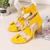 Women's Sandals New European And American Fish Mouth Thick Heel High Heels Plus Size In stock