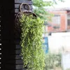 Fleurs artificielles vigne ivy feuille de soie suspendue vigne fausse plante plante artificielle plante verte guirlande maison décoration de fête de mariage