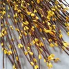 400 stks Groothandel 40cm DIY Mooie Pip Berry Stem voor Floral ArecationManet Crafts Wedding Garland Decoration Accessories