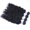 マレーシアの水波束未加工の人間の髪の織り拡張4pcslotウェットと波状の髪のweft1323627