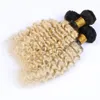 # 1B / 613 Sarışın Ombre Derin Dalga Brezilyalı İnsan Saç Dokuma Paketler 3 Adet Lot Ombre Sarışın Derin Dalga Kıvırcık Bakire Saç Atkı Uzantıları