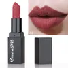 Brand New Glitter Lipstick 13 Color Matte Red Lips Makeup Waterproof Shimmer Lip Stick Nude Matt Purple Long Lasting Lipsticks