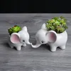 Glaserad elefant Keramisk pott Succulent Planter Mini Animal Shape Guest Favor Bonsai Home and Garden Decoration