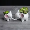 Glazed elephant ceramic pot succulent planter mini animal shape guest favor bonsai home and garden decoration2885598