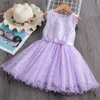 Summer Kids Dress For Girls Flower Princess Dress Lace Tutu Party Kids Dresses Casual Daily Wear Baby Girl Clothing