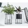 garden plant holders