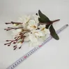 Magnolia en soie artificielle à 5 branches, décoration de table d'hôtel, maison, fausse fleur, accessoires de photographie pour tenue de mariée, GB229