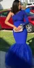 2019 Royal Blue Prom Dresses One Shoulder Long Sleeves Lace applique Satin Tulle Mermaid Women Formal Evening Party Gowns Custom Size