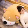 Mignon shiba inu poupée gras chiot soft jouet giant dessin animé corgi chienne de sommeil pour chilrend girl cadeau d'anniversaire 39inch 100cm dy50802762842