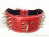 3 inch wide leather spiked studded dog collars leather pet collars chromed spikes for PitBull Mastiff large and medium breeds6082190