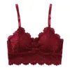 Hot 2019 Embroidery Bra Women Wine Red Blue White Black Lace Bralette Plus Size Bra Push Up Wireless Backless Sexy Bras