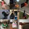 2021 Hottest USB Charging Pet Dog Collar Rechargeable LED Tube Flashing Night Dogs Collars Luminous Puppy Cat Safety Collar With Battery 8 Colors In Stock