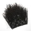 Vmae Peruvian Afro Kinky Curly Click in Human Hair Extension 3A 3B 3C 4B 4C Clip w 120G Naturalny kolor