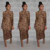 haoyuan sexy cheetah leopard print midi dress women closity plus size vestidoエレガントなスパゲッティストラップボディコンナイトクラブドレス