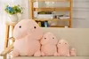 Jouets de poupée en peluche de petit ami drôle 10cm 20cm 30cm, pendentif en peluche, oreiller anti-Stress, jouet L4703454698