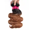 Fasci di capelli umani dell'onda del corpo brasiliana 1b 30 Fasci di tessuto dei capelli vergini dell'onda del corpo di Ombre gagaqueen WNFG