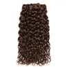 # 4 Wasserwelle Remy Human Hair Webart Bündel mit Schließung 3 Haarbündel mit 4x4 Spitzenverschluss