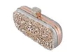 DHL 20pcs borsa da sera pochette da donna floreale splendida perla di cristallo che borda borse da sposa per feste di nozze borse a tracolla