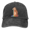 Fashion-Cap for Men & Women, The Rainbow sloth Style Cotton Washed Cowboy Hat Adjustable Snapback Dad Hat Golf Cap