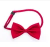 Adjustable Pet Dog Bow Tie Neck Accessory Necklace Collar Puppy Bright Color Pet Bow Mix Color 100pcs/lot