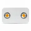 Lampada da coltivazione a LED COB Citizen 1212 Spettro completo 300 W 3500 K 5000 K = Lampada da coltivazione HPS per illuminazione di fiori vegetali e piante da interno