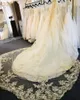 Sparkly Payetli Şampanya Düğün Veils Aplike Kenar 3 M Uzun Katedral Uzunluğu Dantel Gelin Peçe Kadınlar için Saç Aksesuarları