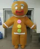 2019 fábrica de venda quente da cabeça adulta engraçada gingerbread homem fantasia de mascote para adultos ao desgaste