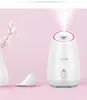 Fruit Groente Gezicht Gezicht Steamer Huishoudelijke SPA Beauty Instrument Spray Water Meter Gezicht Bevochtig Schoonheid Tool