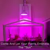 200 LED-lampor LED Grow Lights Full Spectrum Fitolampy Phyto Lampa E27 Phyto-lampa för Inomhus Blommor Grönsaker Växt Tält Box Fitolamp