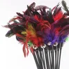 Cat Toys Feather Wand Kattunge Katt Teaser Turkey Feather Interactive Stick Toy Wire Chaser Wand Toy Slumpmässig färg