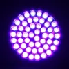 UV LED -zaklamp 51 LED's 395 nm Violet Torch Light Lamp Blacklight Detector voor hondenrine -urine Pet Vlekken en bedwug zaklamp CCA1141622348