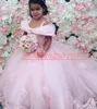 Princesse Rose Dentelle Tulle Fleur Filles Robes Train 2020 Filles D'anniversaire Robes Formelles Première Communion Robes Enfants Tutu Pageant Pour Le Mariage