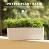 plant pot zelf water geven