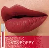 3 PCSLOT NY Långlastande Ultramatte Liquid Lip Stain Högkvalitativ vattentät läppstift QuickDrying Transfer 3358033