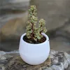 7*7cm Mini Bloempotten 5 Kleuren Ronde Plastic Plantenbakken Lek Water Gat Ontwerp Bloempot Vetplanten tuin Bonsai Pot Home Decor